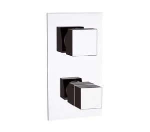 Смеситель термостатический для душа Remer Q-Elegance QT937