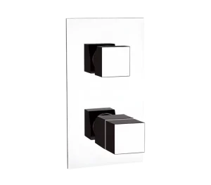 Смеситель термостатический для душа Remer Q-Elegance QT94