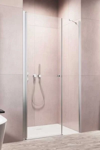 Душевая дверь в нишу Radaway EOS DWS 120 L 137992-01-01L