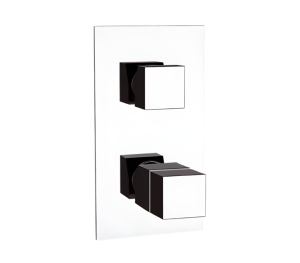 Смеситель термостатический для душа Remer Q-Elegance QT93