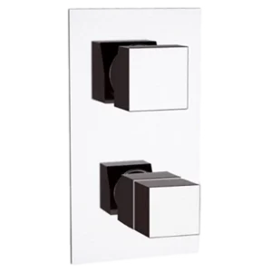 Смеситель термостатический для душа Remer Q-Elegance QT95