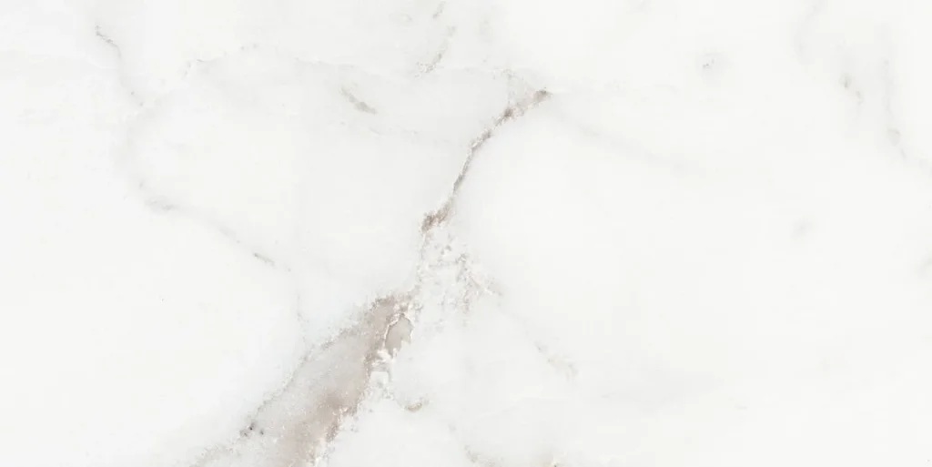 Плитка Origines De Rex Argent Matte 30x60 Rett