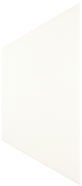 Плитка TRAPEZ WHITE MATT 10.7x24.7