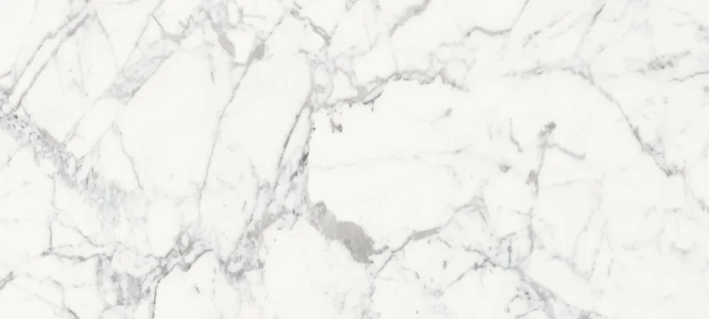 Плитка Les Origines De Rex Blanche Mat 80x180rt