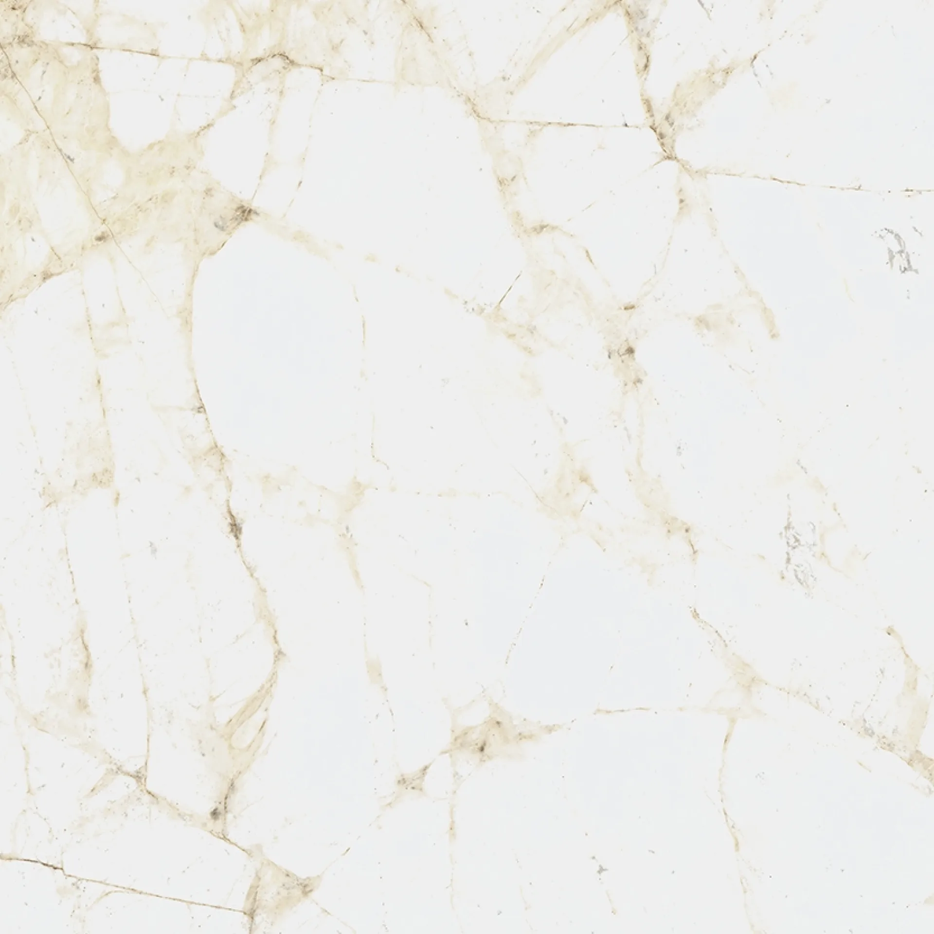 Керамогранит Coliseum CANOVA WHITE 60 RET