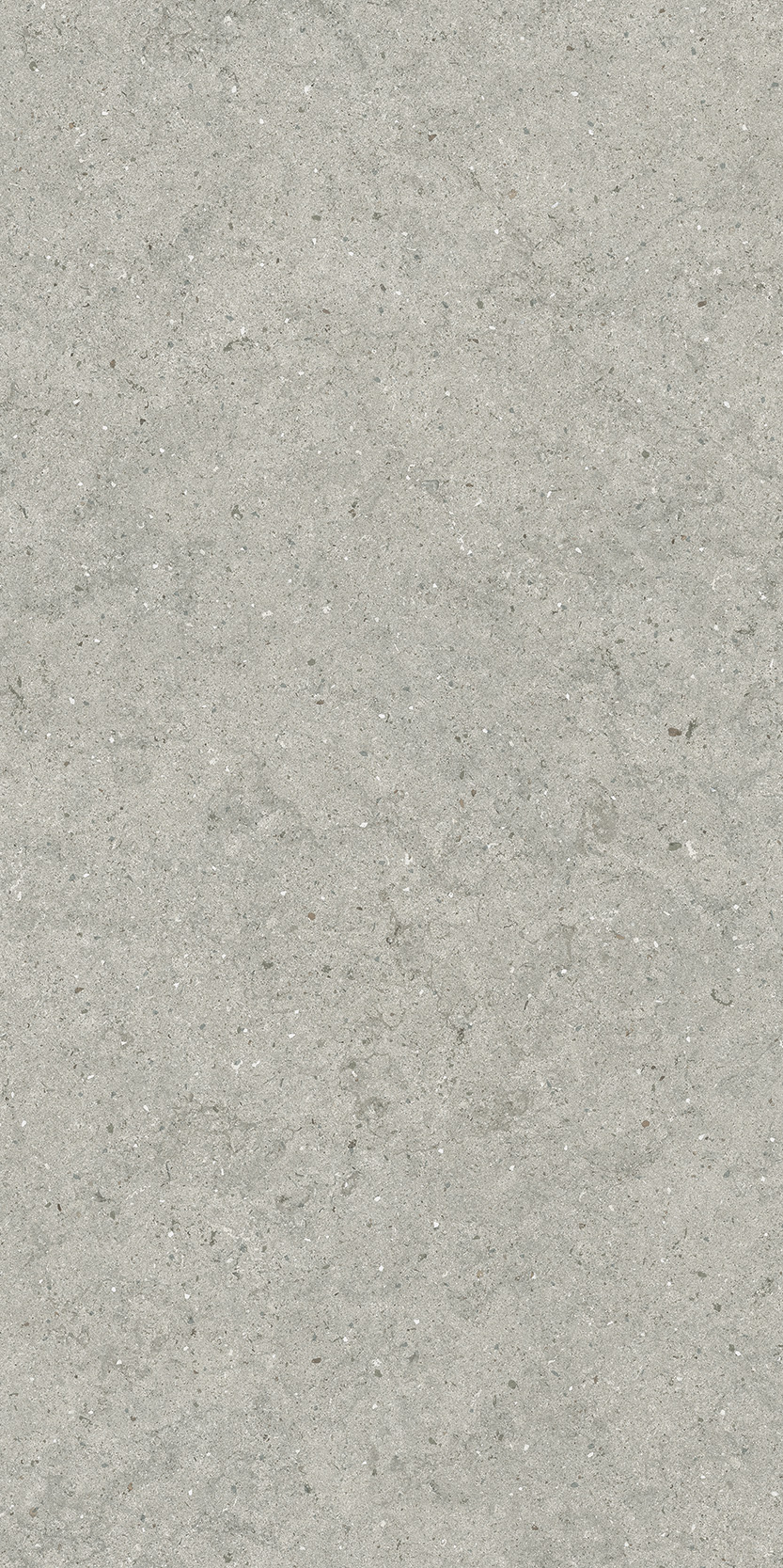 Керамогранит ITALON FORUM STONE SILVER 60X120 / ИТАЛОН ФОРУМ СТОУН СИЛЬВЕР 60X120, арт.610010004168