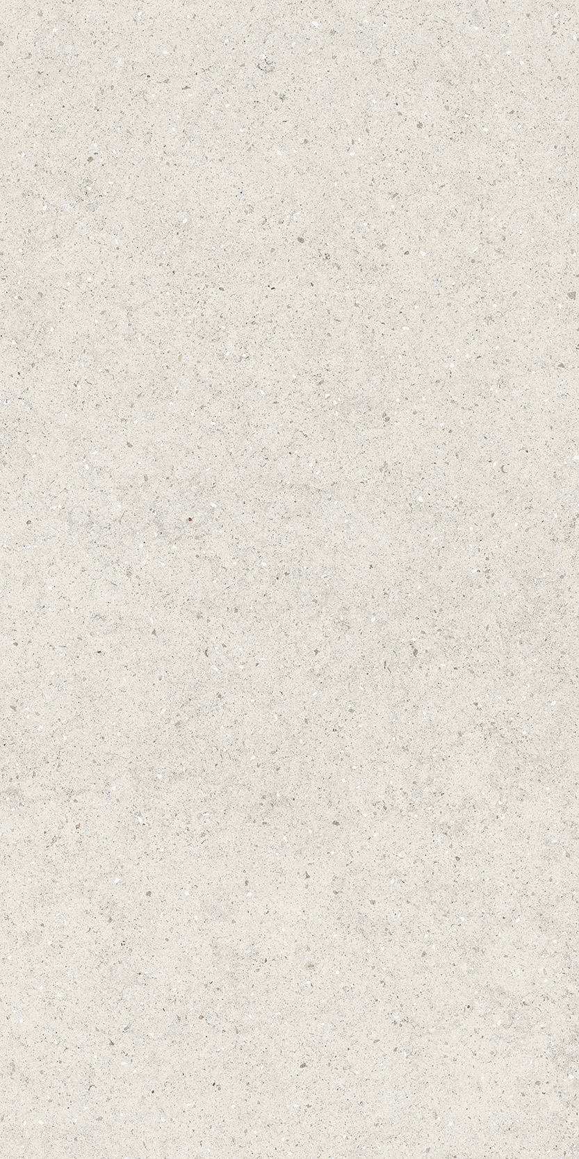 Керамогранит ITALON FORUM STONE POLAR 60X120 / ИТАЛОН ФОРУМ СТОУН ПОЛАР 60X120, арт.610010004166