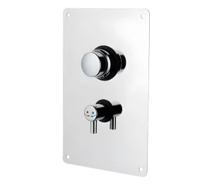 Смеситель порционный для душа Remer Tempor TE32M