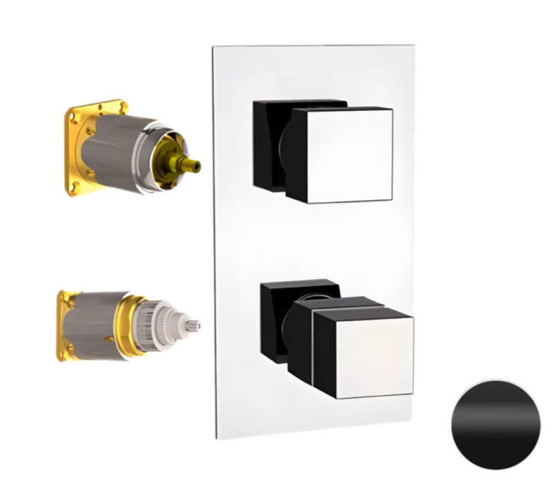 Смеситель термостатический для душа Remer Q-Elegance QT93KBNO, черный матовый