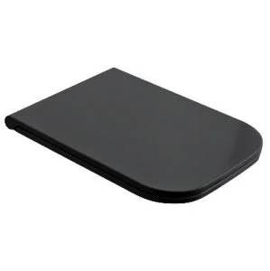 Сиденье и крышка Scarabeo Teorema 2.0, softclose черное матовое, арт.8305B49