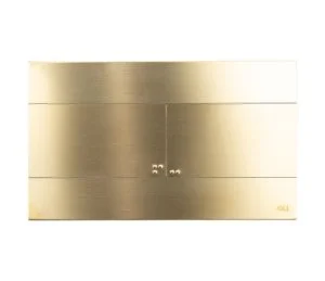 Кнопка смыва механическая OLI Slim 888565 INOX (золото), металл