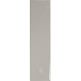 Плитка MATCH ASH GLOSS 6.25x25