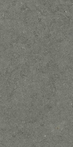 Керамогранит ITALON FORUM STONE IRON 60X120 / ИТАЛОН ФОРУМ СТОУН АЙРОН 60X120, арт.610010004169