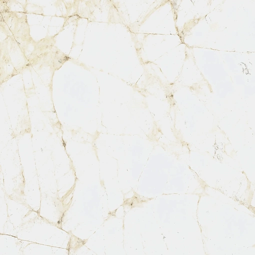 Керамогранит Coliseum CANOVA WHITE 60 RET Керамогранит Coliseum CANOVA WHITE 60 RET