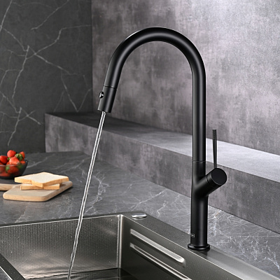 AQM9905MB Cucina Смеситель для кухни с выдвижным U-образным изливом, с подключением к фильтру с питьевой водой, черный матовый