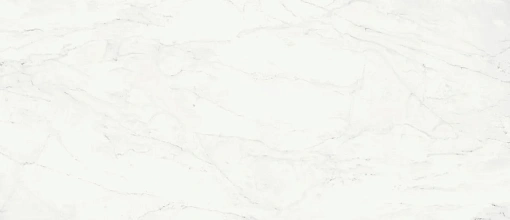 Плит. CHARME DELUXE B.MICHEL.120*278 LUX