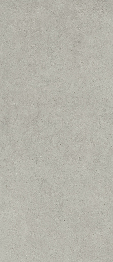 Керамогранит ITALON FORUM STONE SILVER 120X278 / ИТАЛОН ФОРУМ СТОУН СИЛЬВЕР 120X278, арт.600180000082