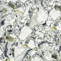 Керамогранит F.d.M.Quark Ceppo Ap. Forest Rett 80*80 Керамогранит F.d.M.Quark Ceppo Ap. Forest Rett 80*80