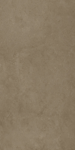 Керамогранит FOSSIL DESERT 60X120 RET / ФОССИЛ ДЕЗЕРТ 60X120 РЕТ