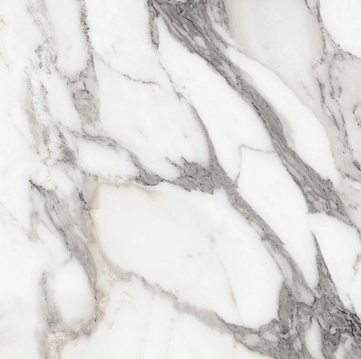 Плитка Origines De Rex Argent Полированная 60x60 Rett