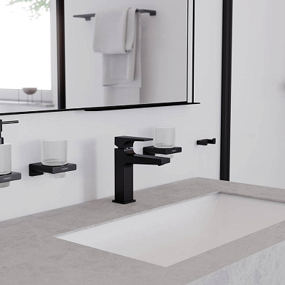 Hansgrohe AddStoris Стакан для зубных щеток хром 41749000