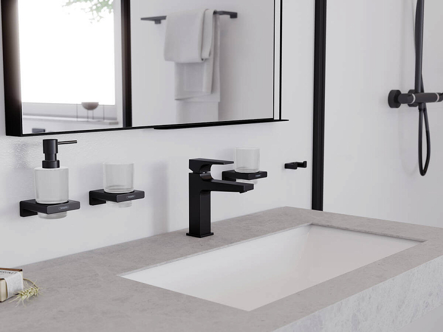 Hansgrohe AddStoris Стакан для зубных щеток хром 41749000