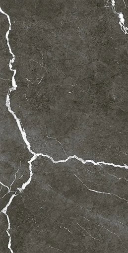 Керамогранит Coliseum MICHELANGELO DARK 60X120 RET / МИКЕЛАНДЖЕЛО ДАРК 60Х120 ретт.