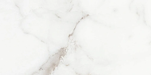 Плитка Origines De Rex Argent Matte 30x60 Rett