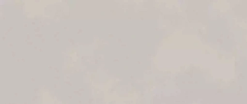 Керамогранит Boost Color Dove 50х120
