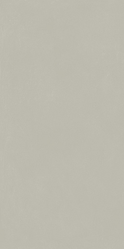 Керамогранит ITALON FORUM SLIM SILVER 60X120 / ИТАЛОН ФОРУМ СЛИМ СИЛЬВЕР 60X120, арт.610010004156