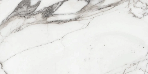 Плитка Origines De Rex Argent Полированная 60x120 Ret