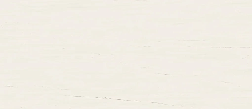 Плитка Marvel Bianco Dolomite 120x278 Matt Плитка Marvel Bianco Dolomite 120x278 Matt