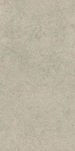 Керамогранит ITALON FORUM STONE DESERT 60X120 / ИТАЛОН ФОРУМ СТОУН ДЕЗЕРТ 60X120, арт.610010004170