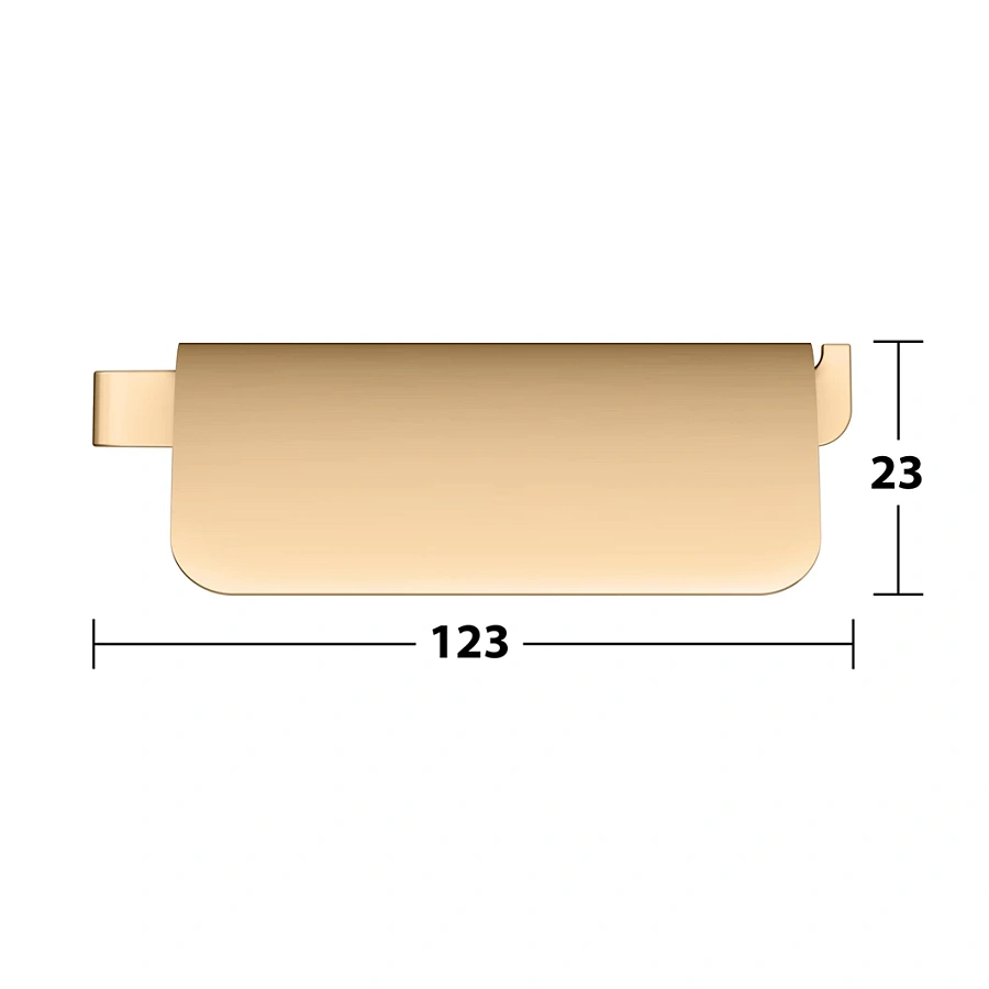 Держатель туалетной бумаги с крышкой Keuco Moll 12760250000 латунь шлифованная