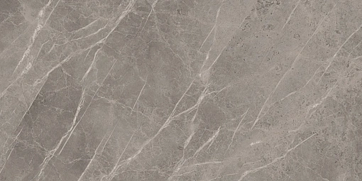 Плитка Marvel Grey Fleury 60x120