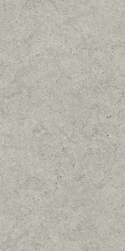Керамогранит ITALON FORUM STONE SILVER 60X120 / ИТАЛОН ФОРУМ СТОУН СИЛЬВЕР 60X120, арт.610010004168