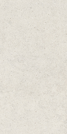 Керамогранит ITALON FORUM STONE POLAR 60X120 / ИТАЛОН ФОРУМ СТОУН ПОЛАР 60X120, арт.610010004166