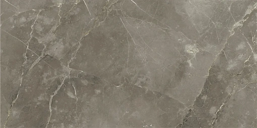 Плит. Stellaris TUSCANIA GREY 60*120 LAP