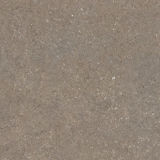 Керамогранит Italon DISCOVER DESERT 60 RET / ДИСКАВЕР ДЕЗЕРТ 60 РЕТ Керамогранит Italon DISCOVER DESERT 60 RET / ДИСКАВЕР ДЕЗЕРТ 60 РЕТ
