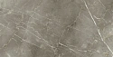 Плит. Stellaris TUSCANIA GREY 60*120 RET