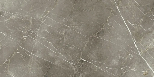 Плит. Stellaris TUSCANIA GREY 60*120 RET