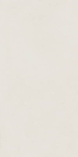 Керамогранит ITALON FORUM SLIM POLAR 60X120 / ИТАЛОН ФОРУМ СЛИМ ПОЛАР 60X120, арт.610010004154