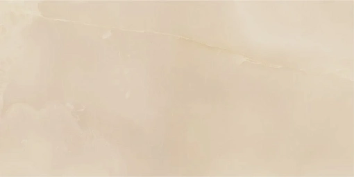 Плит.  Charme Evo ONYX 60*120 LUX