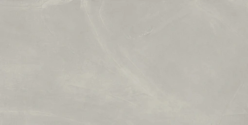 Плит. Continuum SILVER 60*120 RET