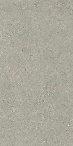 Плитка Status Carbon 60x120