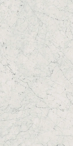 Плит.  Charme Extra CARRARA 60*120 RET