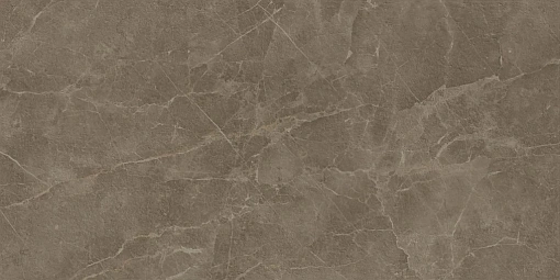 Керамогранит S.S. Grey Wax 60x120