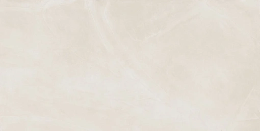 Плит. Continuum POLAR 60*120 RET