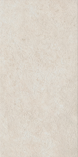 Керамогранит FOSSIL PURE 60X120 RET X2 / ФОССИЛ ПЬЮР 60X120 РЕТ Х2