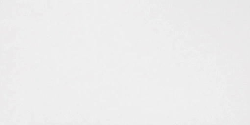 Плитка Solid White Matt 40x80